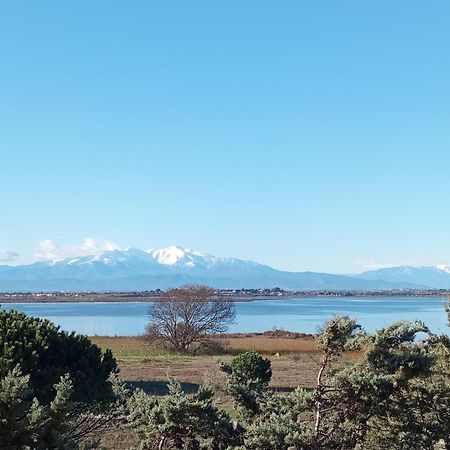 Le Capestang Leilighet Canet-en-Roussillon Eksteriør bilde