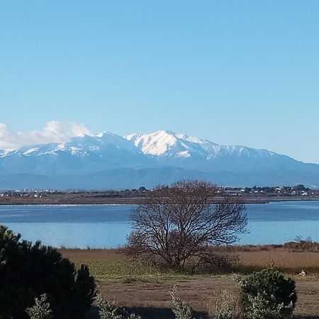 Le Capestang Leilighet Canet-en-Roussillon Eksteriør bilde